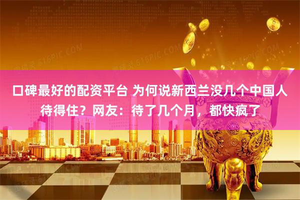 口碑最好的配资平台 为何说新西兰没几个中国人待得住？网友：待了几个月，都快疯了